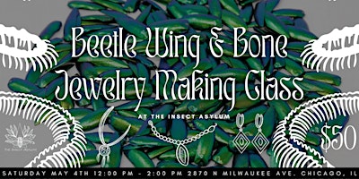 Jewel Beetle Wing & Snake Bone Jewelry Making Workshop primary image