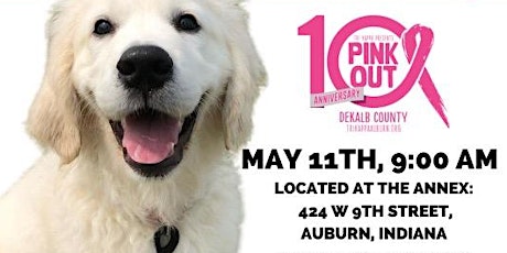 Yoga Fur A Cause:  Pink Out 2024