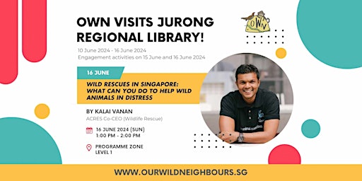Image principale de Wild Rescues in Singapore: What can you do to help wild animals in distress
