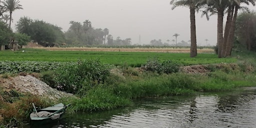Primaire afbeelding van Giza Farm Daytrip