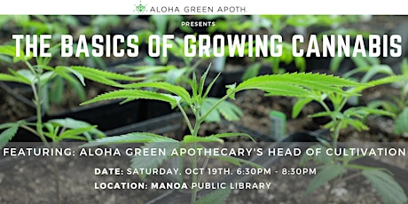 The Basics of Growing Cannabis