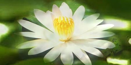 White Lotus Day primary image