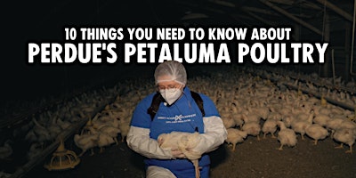 Primaire afbeelding van Meetup: 10 Things You Need to Know About Perdue's Petaluma Poultry