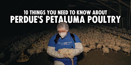 Imagem principal do evento Meetup: 10 Things You Need to Know About Perdue's Petaluma Poultry