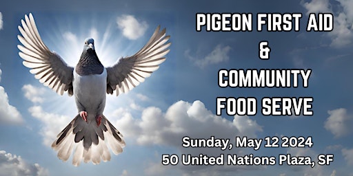 Imagem principal do evento Pigeon First Aid & Community Food Serve