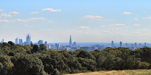 Hampstead Heath - Following the water course and the lay of the land primary image