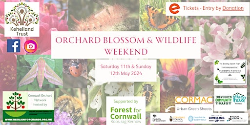 Orchard Blossom & Wildlife Weekend