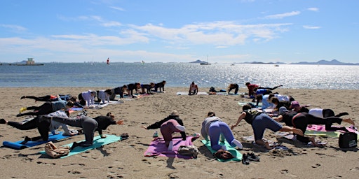 Imagem principal do evento Yoga En La Playa 19/05
