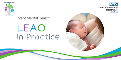 Leeds Early Attachment Observation (LEAO) In Practice: 5th September 2024
