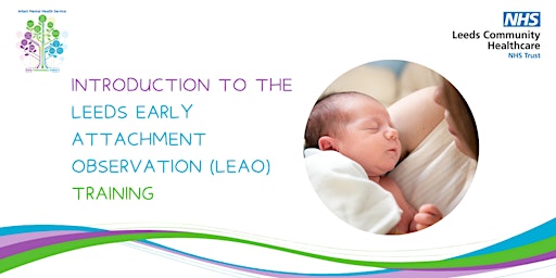 Immagine principale di Intro to the Leeds Early Attachment Observation (LEAO) : 2nd October 2024 
