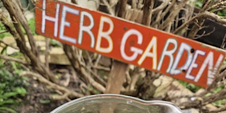 LEARN HERBALISM @ MAY PROJECT GARDENS