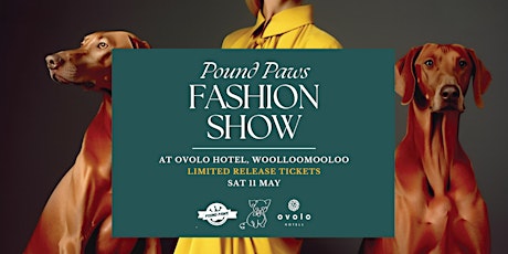 Pound Paws Pet Fashion Show at Ovolo Hotel, Woolloomooloo