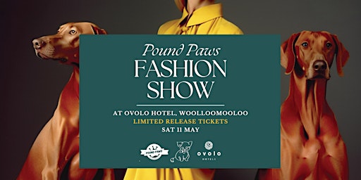 Pound Paws Pet Fashion Show at Ovolo Hotel, Woolloomooloo primary image