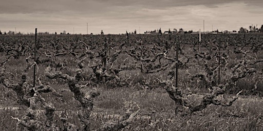 Hauptbild für Historical Vineyard Association gathering