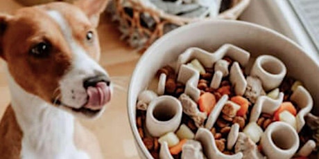 Handcrafted Ceramic Pet Bowls - Pottery Class by Classpop!™