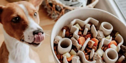 Primaire afbeelding van Handcrafted Ceramic Pet Bowls - Pottery Class by Classpop!™
