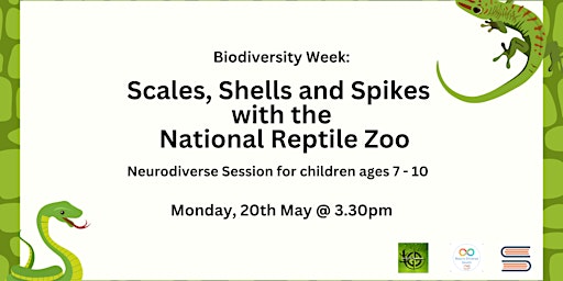 Imagem principal do evento Neurodiverse South: Scales, Shells and Spikes with the National Reptile Zoo
