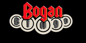 Imagem principal do evento Bogan Bingo
