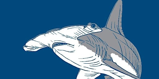 Hauptbild für Sharkpedia