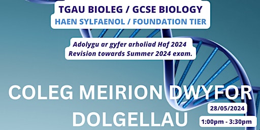 Imagem principal de Adolygu TGAU Bioleg  SYLFAENOL - Biology FOUNDATION GCSE Revision