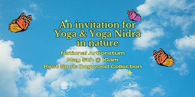 Imagen principal de An Invitation for Yoga and Yoga Nidra in Nature