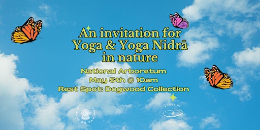 Hauptbild für An Invitation for Yoga and Yoga Nidra in Nature