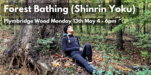 Imagem principal do evento Forest Bathing at Plymbridge Woods