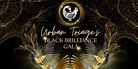Urban Triage's 2024 Black Brilliance Gala: A Celebration of Unsung Heroes