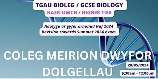 Hauptbild für Adolygu TGAU Bioleg  UWCH - Biology HIGHER GCSE Revision