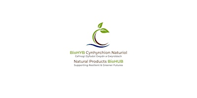 NP BioHUB - Accelerating the Green Economies Centre Symposium primary image