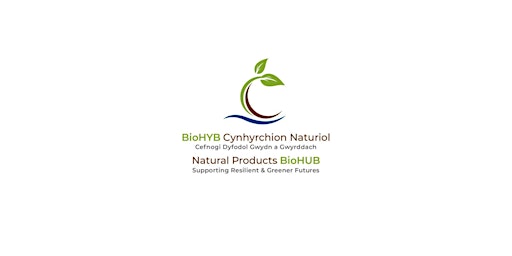 NP BioHUB - Accelerating the Green Economies Centre Symposium primary image