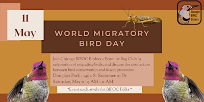 Primaire afbeelding van World Migratory Bird Day - Bird + Bug Walk
