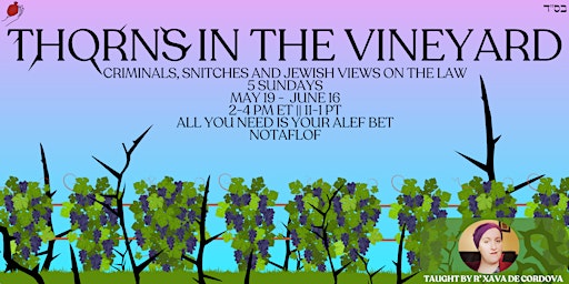 Imagem principal de Thorns in the Vineyard: Criminals, Snitches, and Jewish Views on the Law