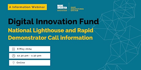 Digital Innovation Fund  - National Lighthouse and Rapid Demonstrator Call