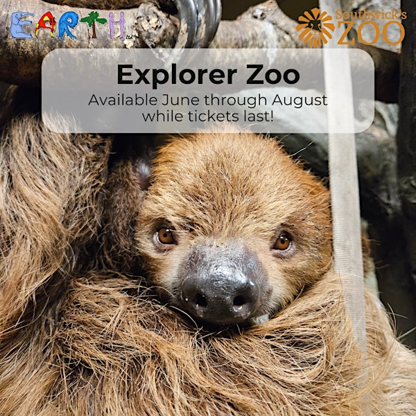 2024 Explorer Zookeeping