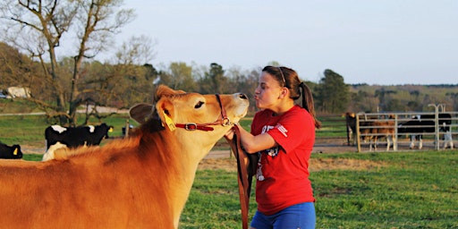 Imagen principal de Northampton County Dairy Project