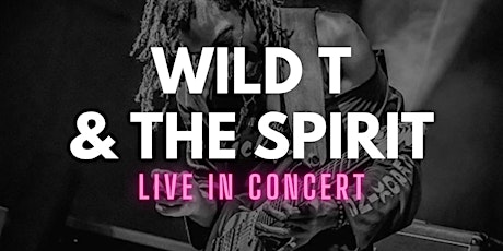 WILD T & THE SPIRIT - LIVE AT THE VELVET OLIVE
