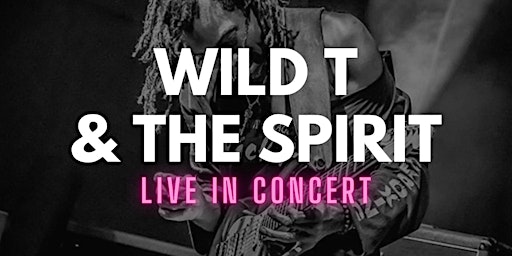 WILD T & THE SPIRIT - LIVE AT THE VELVET OLIVE primary image
