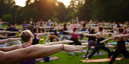 Imagem principal do evento Yoga on the Lawn