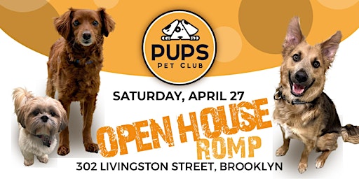 DOG ROMP and OPEN HOUSE - DoBro 27 primary image