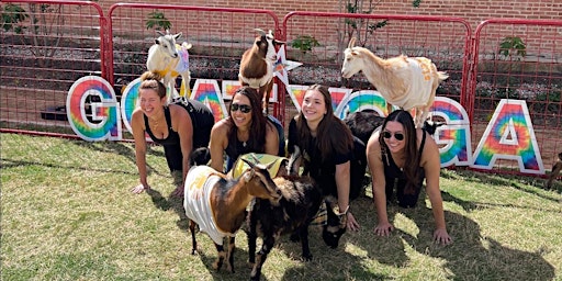 Imagem principal do evento Goat Yoga Dallas @ Harwood Park!