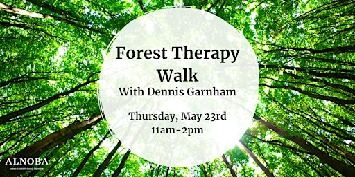Immagine principale di Forest Therapy Walk With Dennis Garnham 