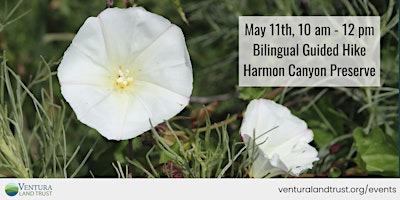 Harmon Canyon Bilingual Wildflower Hike primary image