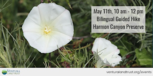 Harmon Canyon Bilingual Wildflower Hike primary image