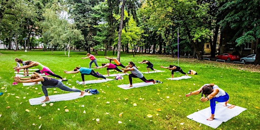 Free Yoga in Miller Park! primary image