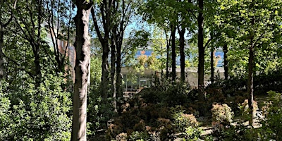 Imagen principal de Inaugurazione Parco della Luce e Prima Luce_Monte Rosa 91 svela il suo giardino artistico