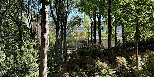 Imagem principal de Inaugurazione Parco della Luce e Prima Luce_Monte Rosa 91 svela il suo giardino artistico