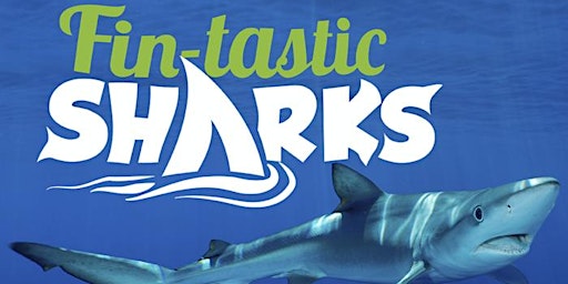 Explorers Fin-tastic Sharks Day primary image