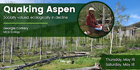 Quaking Aspen | Socially Valued, Ecologically in Decline