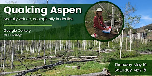 Imagem principal do evento Quaking Aspen | Socially Valued, Ecologically in Decline